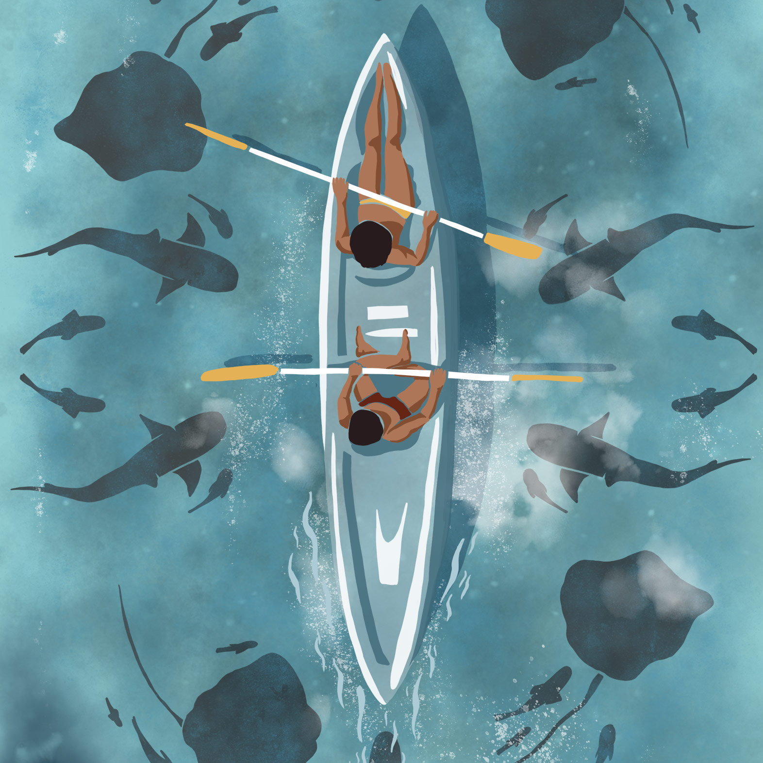 Illustration de deux personnes faisant du kayak au milieu des requins et raies