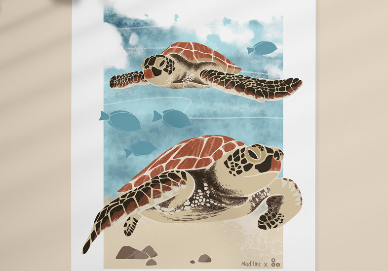 Illustration de deux tortues marines